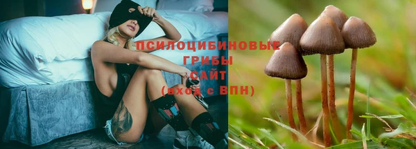 мдма Дмитровск